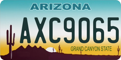 AZ license plate AXC9065