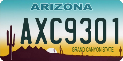 AZ license plate AXC9301
