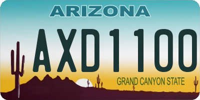 AZ license plate AXD1100
