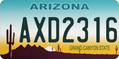 AZ license plate AXD2316