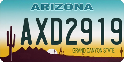 AZ license plate AXD2919