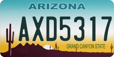 AZ license plate AXD5317