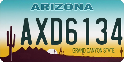 AZ license plate AXD6134