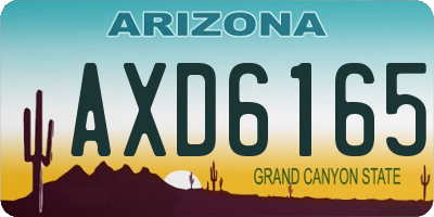 AZ license plate AXD6165