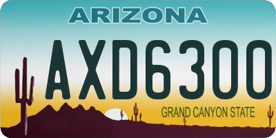 AZ license plate AXD6300
