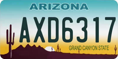 AZ license plate AXD6317
