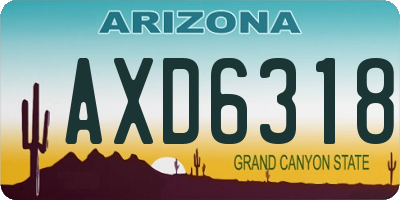 AZ license plate AXD6318