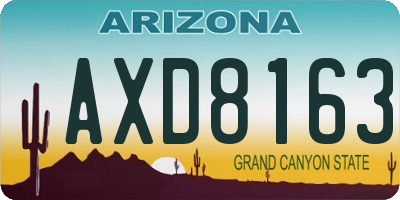 AZ license plate AXD8163