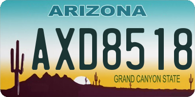 AZ license plate AXD8518