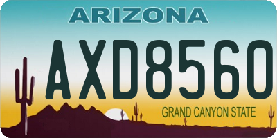 AZ license plate AXD8560