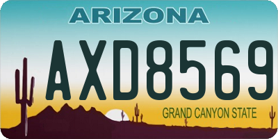 AZ license plate AXD8569