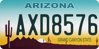 AZ license plate AXD8576