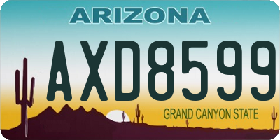 AZ license plate AXD8599