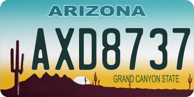 AZ license plate AXD8737