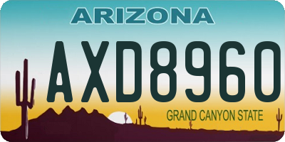 AZ license plate AXD8960