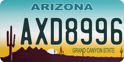 AZ license plate AXD8996