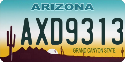 AZ license plate AXD9313