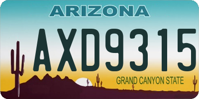 AZ license plate AXD9315