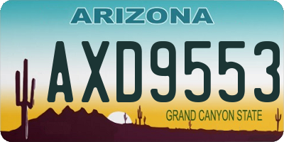 AZ license plate AXD9553