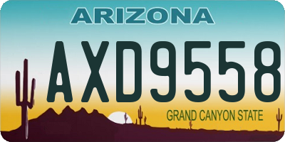 AZ license plate AXD9558