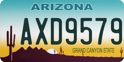 AZ license plate AXD9579