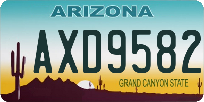 AZ license plate AXD9582