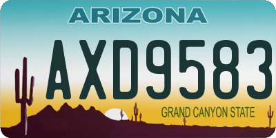 AZ license plate AXD9583