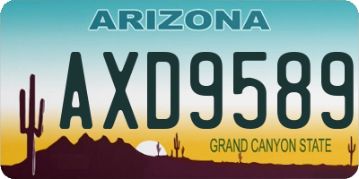 AZ license plate AXD9589
