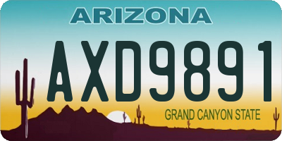 AZ license plate AXD9891