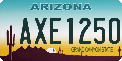 AZ license plate AXE1250