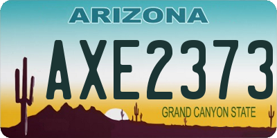 AZ license plate AXE2373