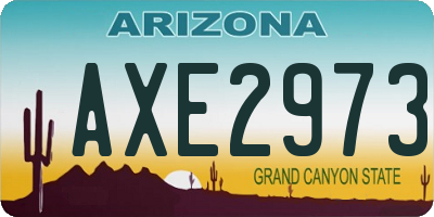 AZ license plate AXE2973