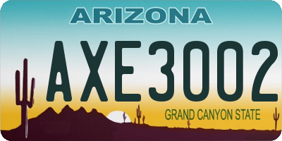 AZ license plate AXE3002