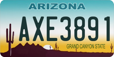 AZ license plate AXE3891