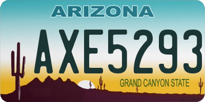 AZ license plate AXE5293