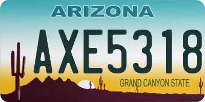 AZ license plate AXE5318