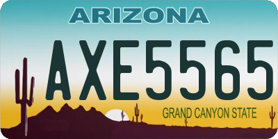 AZ license plate AXE5565