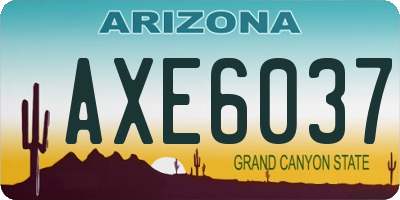 AZ license plate AXE6037