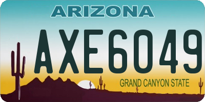 AZ license plate AXE6049