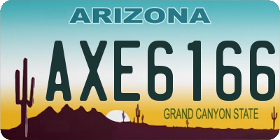 AZ license plate AXE6166