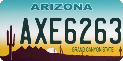 AZ license plate AXE6263