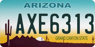 AZ license plate AXE6313