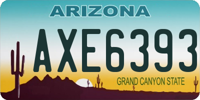 AZ license plate AXE6393