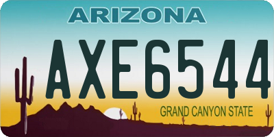 AZ license plate AXE6544