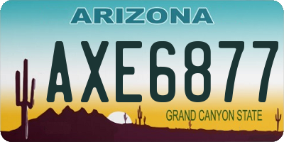 AZ license plate AXE6877