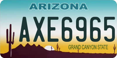 AZ license plate AXE6965