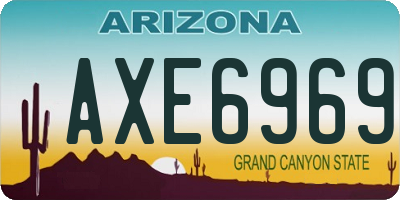 AZ license plate AXE6969