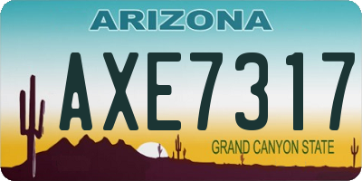 AZ license plate AXE7317