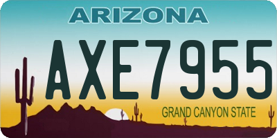 AZ license plate AXE7955