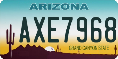 AZ license plate AXE7968